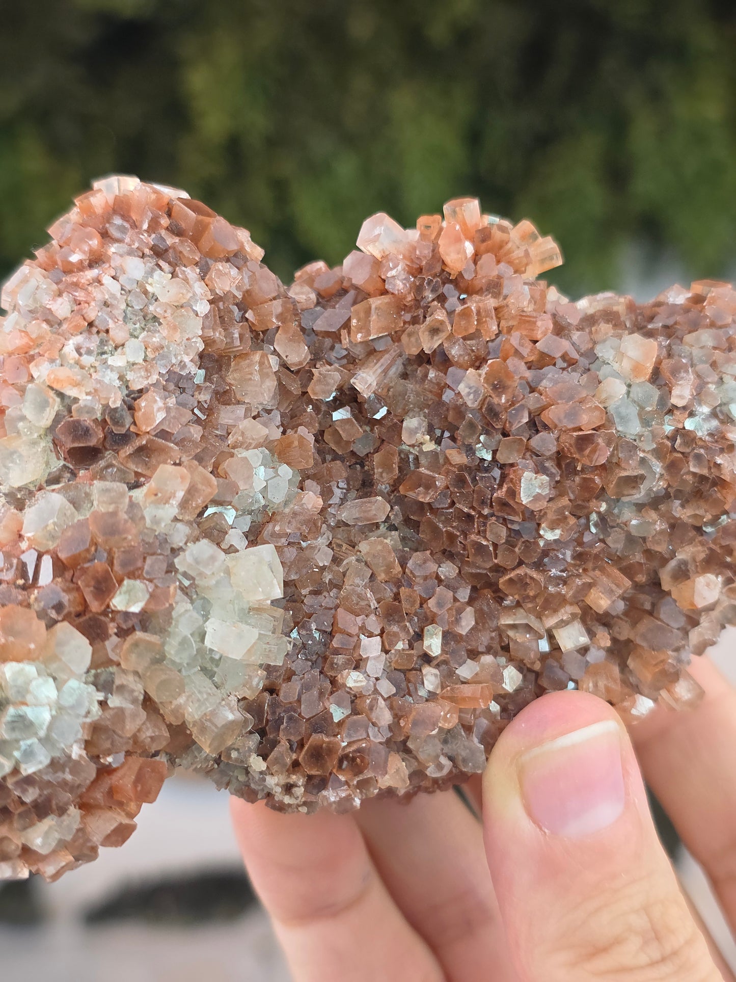 Aragonite