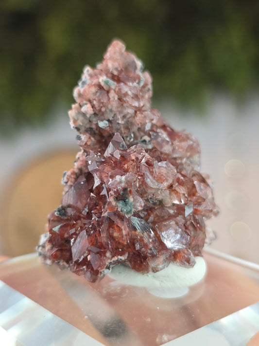 High Quality Pink Apophyllite with Green Apophyllite, Celadonite and Heulandite - Jalgon District, India