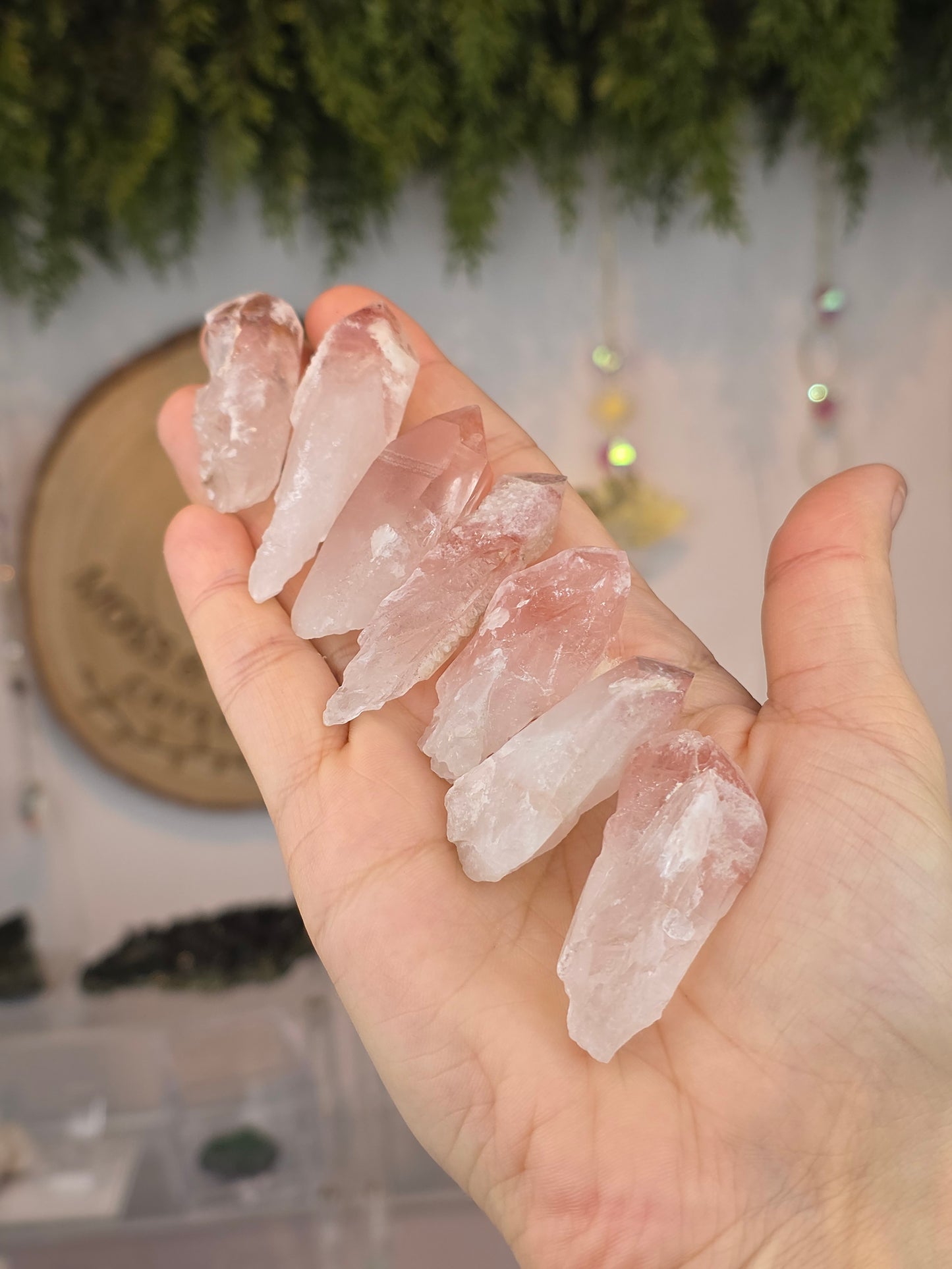 Intuitively Chosen Brazilian Scarlet Pink Lemurian Quartz Raw Points