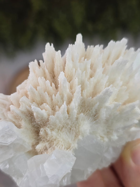 Apophyllite on Mordenite with Hematite Inclusions - Ahmednagar District, Maharashtra, India