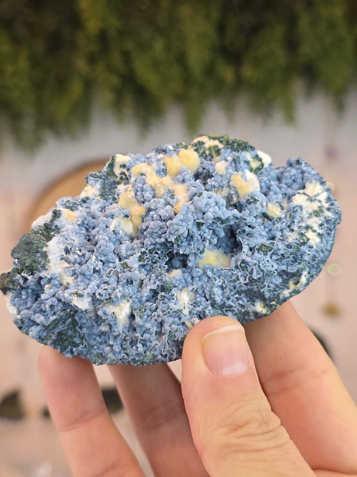 Okenite on Chalcedony - Maharashtra, India C