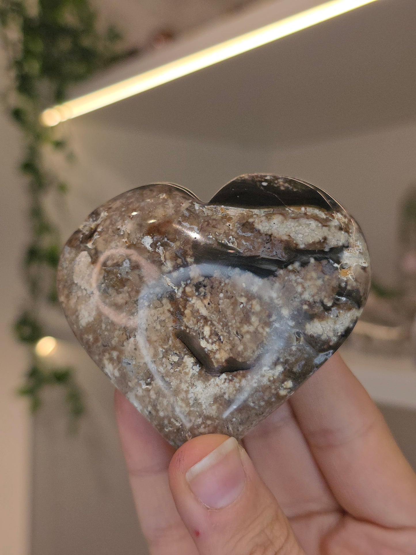 Petrified Opal Hearts