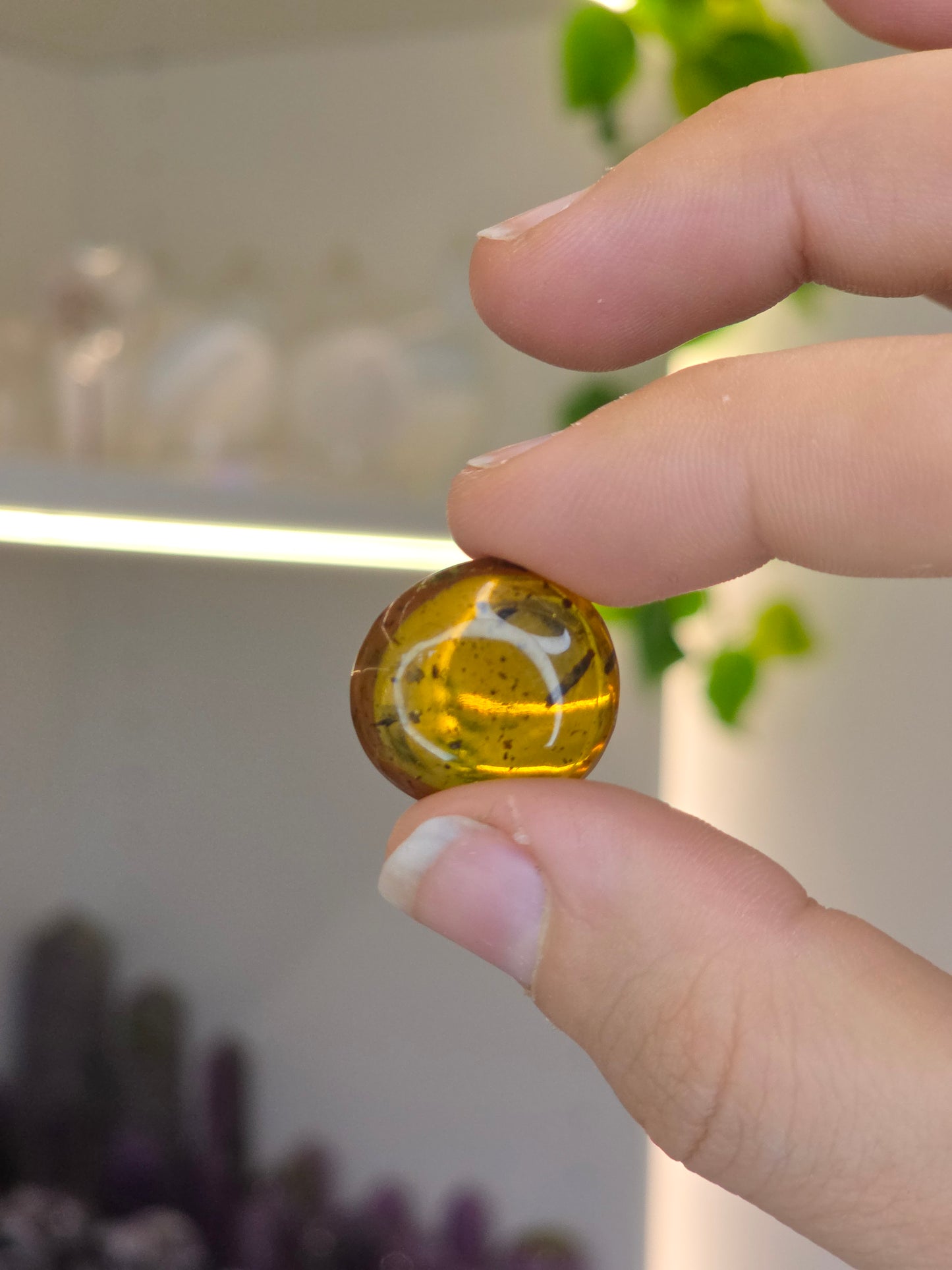 Insect Included Amber Specimen (A)