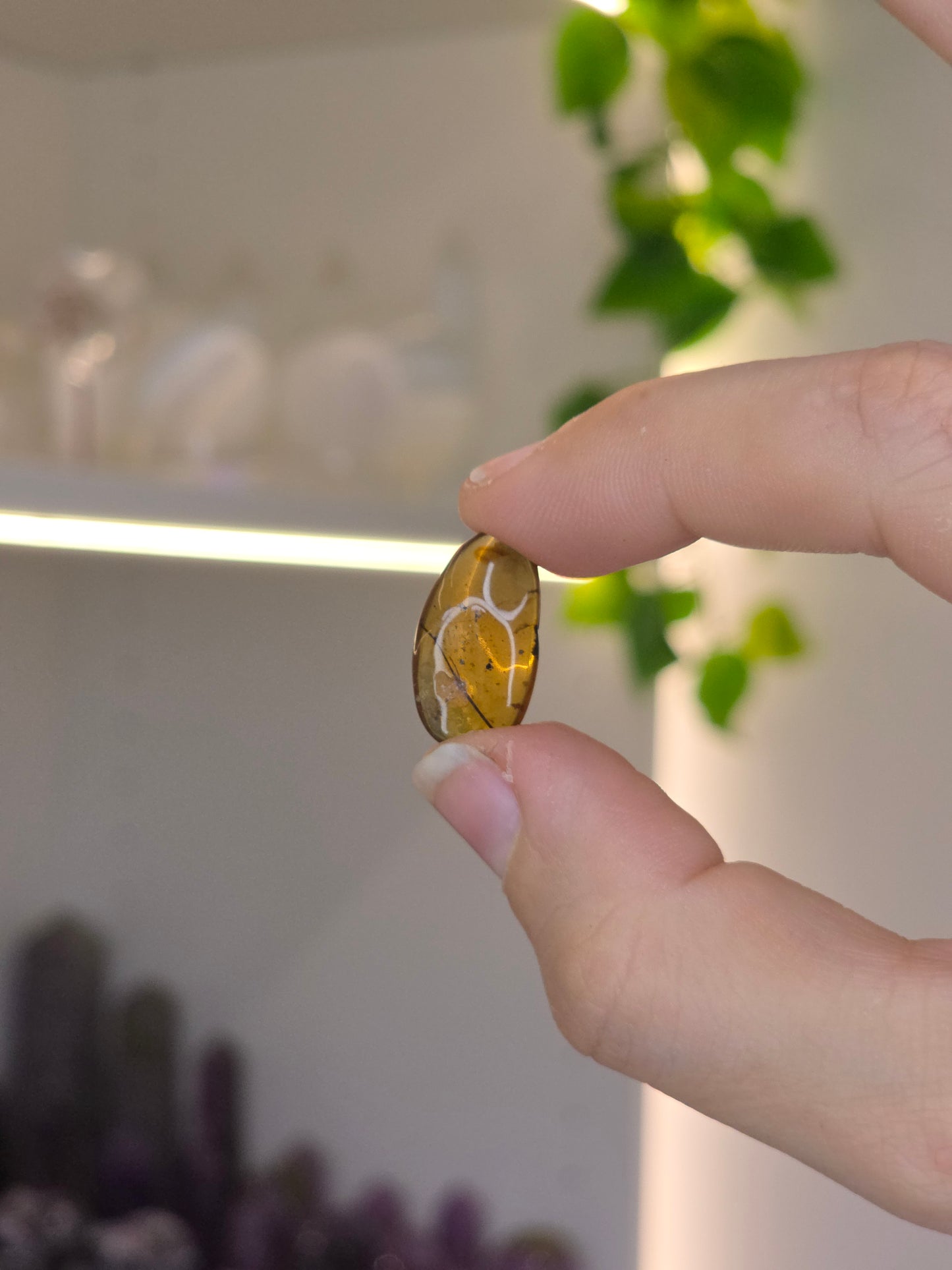 Insect Included Amber Specimen (C)