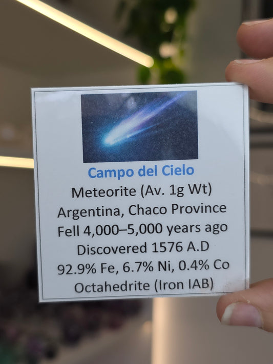 Campo del Cielo Meteorite