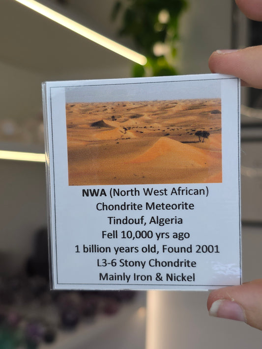 NWA Chondrite Meteorite