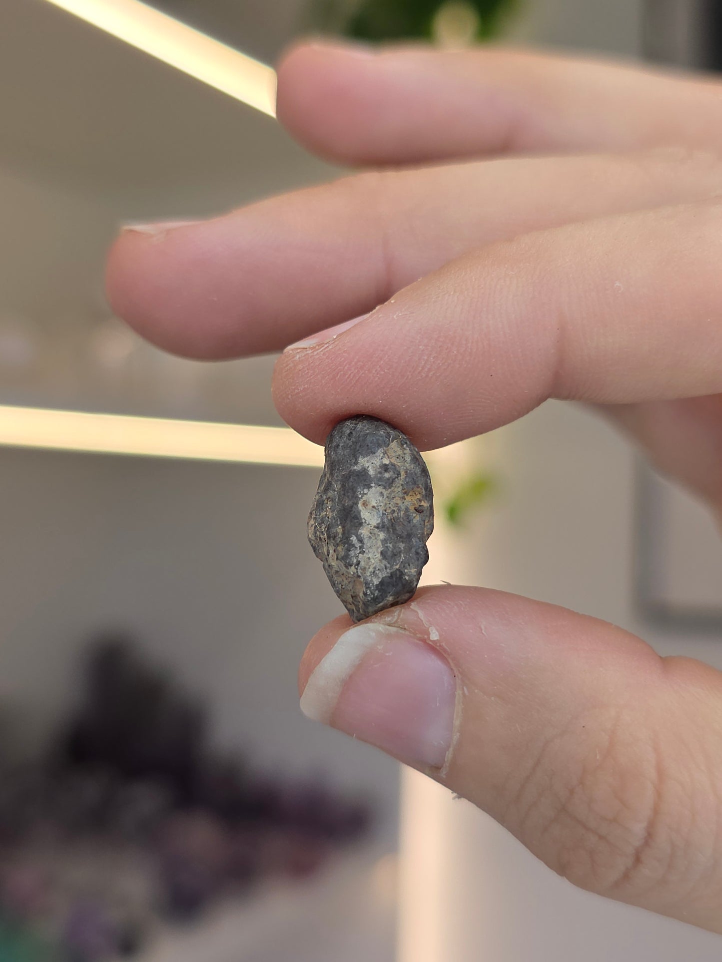 NWA Chondrite Meteorite