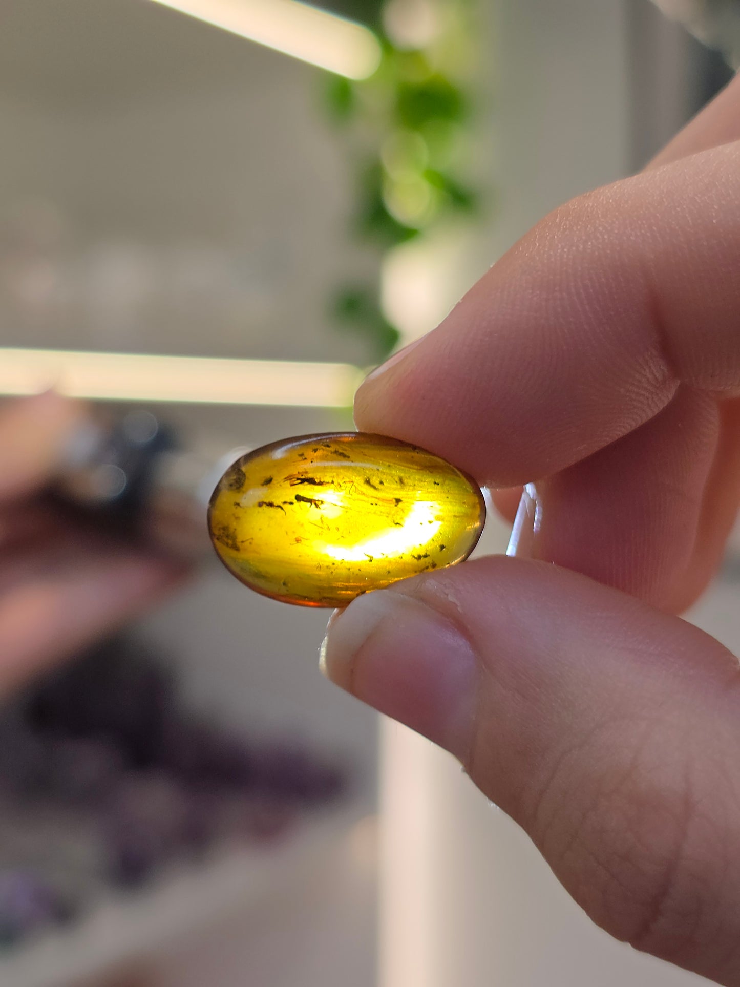 Set of 3 Insect Included Amber Specimens (B)
