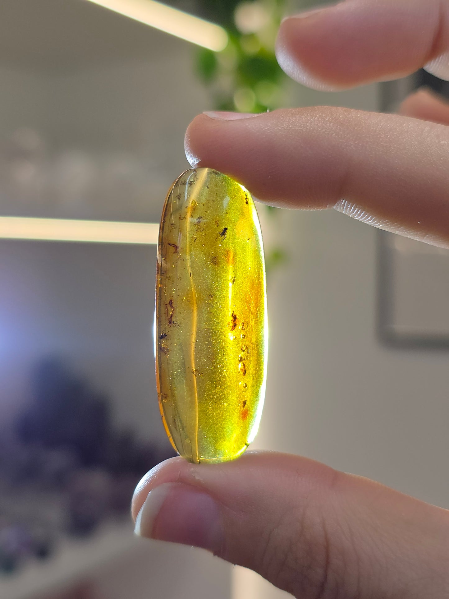 Set of 3 Insect Included Amber Specimens (D)