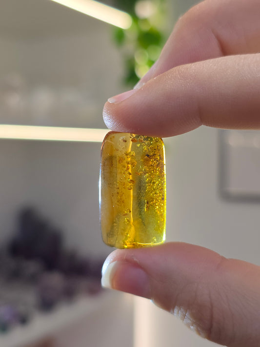 Set of 3 Insect Included Amber Specimens (F)
