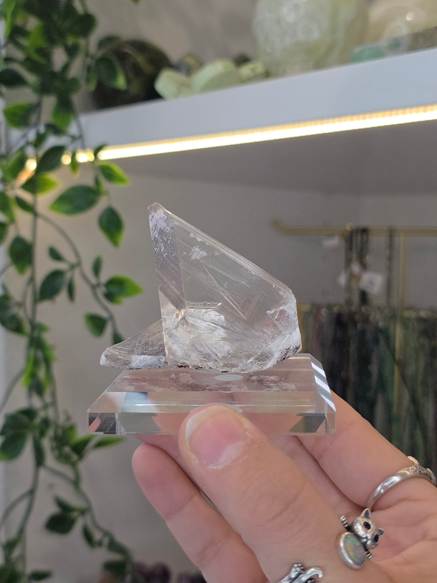 Naica Selenite Specimen from the world famous Naica Mine, Chihuahua, Mexico A