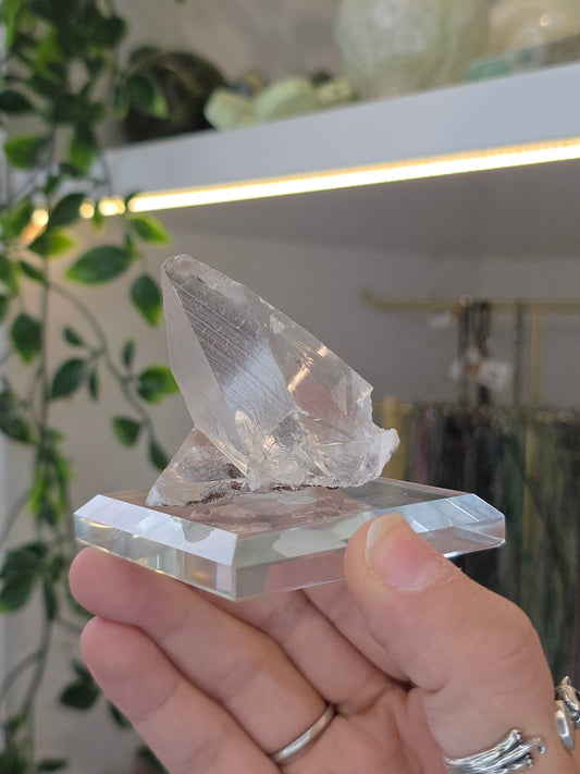 Naica Selenite Specimen from the world famous Naica Mine, Chihuahua, Mexico A