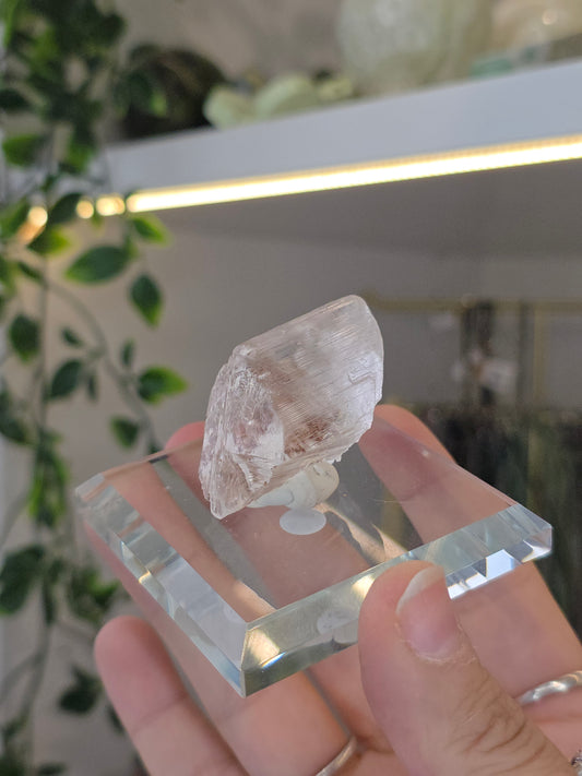 Naica Selenite Specimen from the world famous Naica Mine, Chihuahua, Mexico F