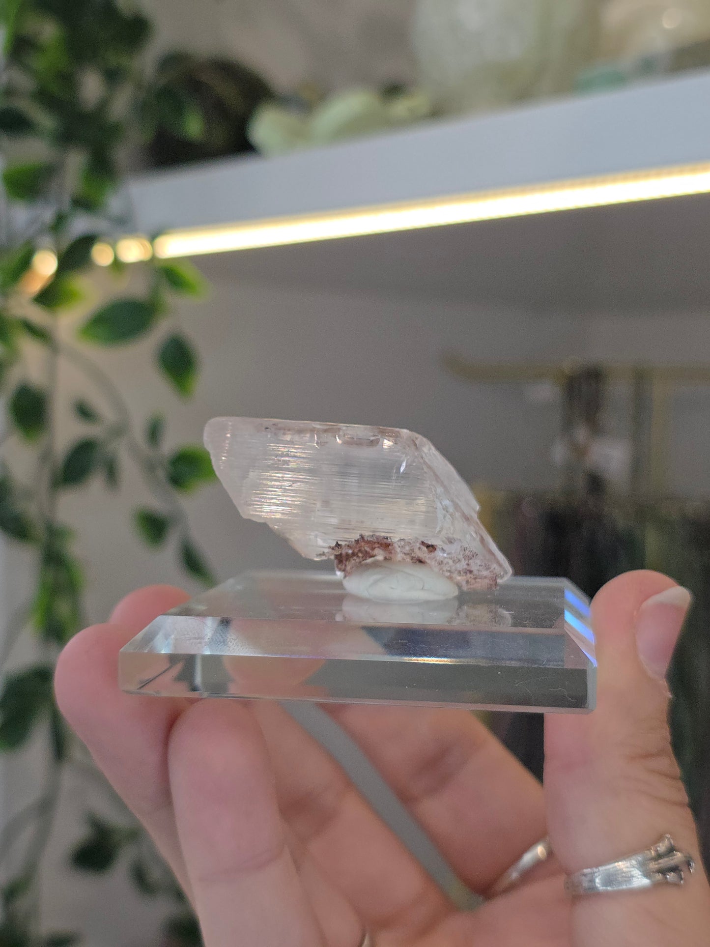 Naica Selenite Specimen from the world famous Naica Mine, Chihuahua, Mexico F