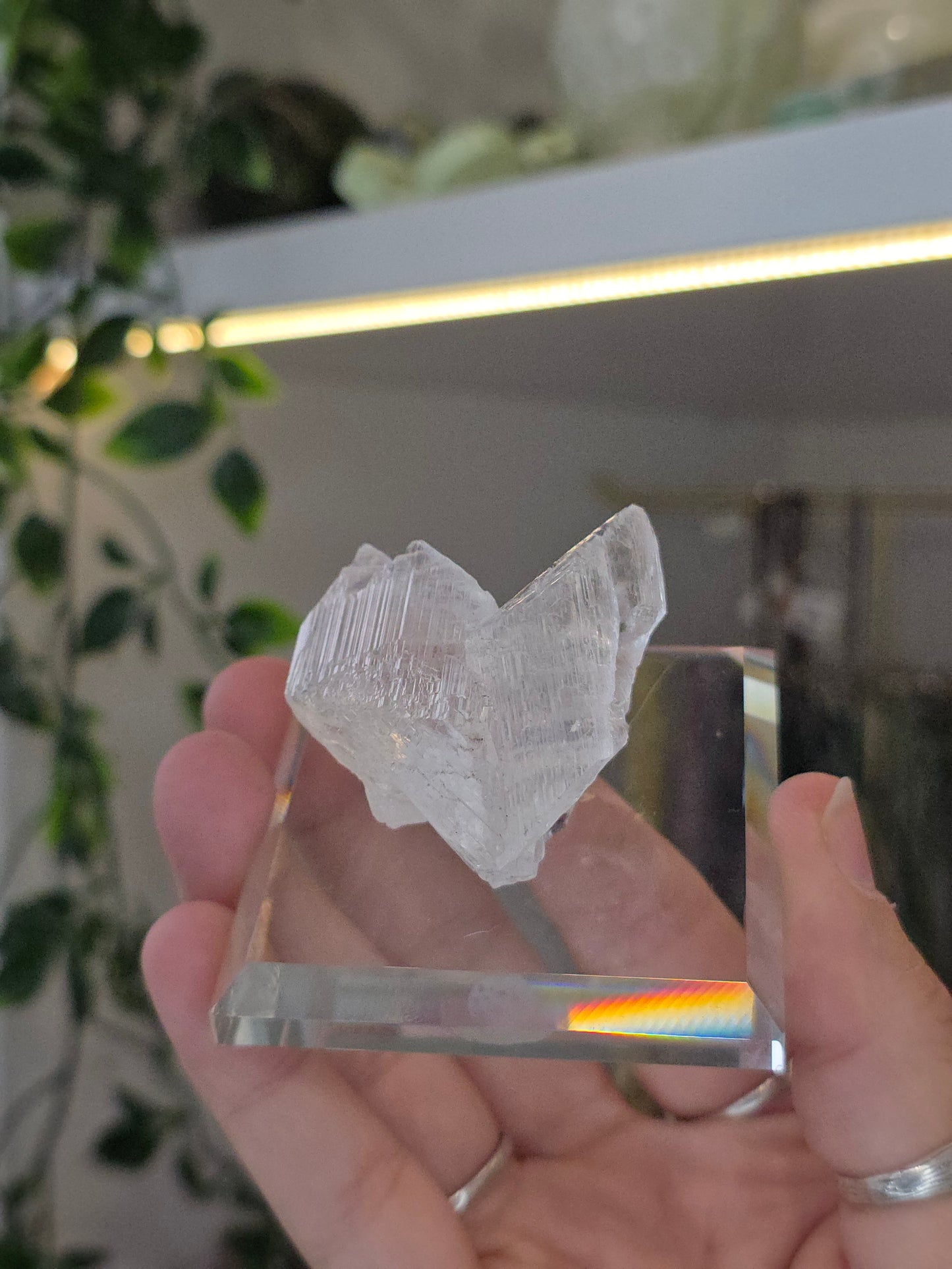 Naica Selenite Specimen from the world famous Naica Mine, Chihuahua, Mexico I