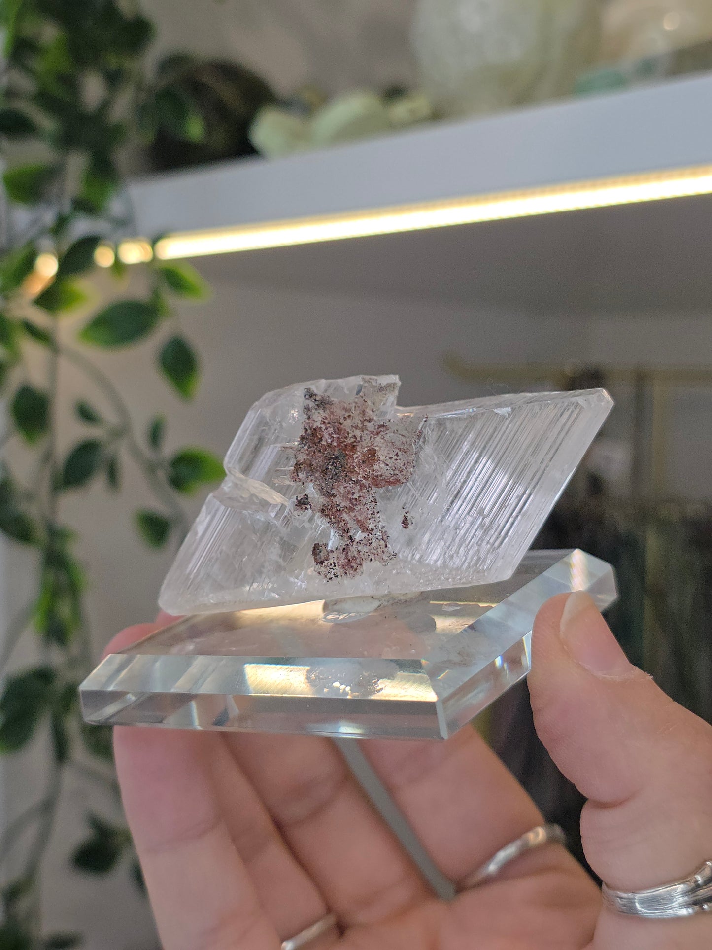 Naica Selenite Specimen from the world famous Naica Mine, Chihuahua, Mexico J
