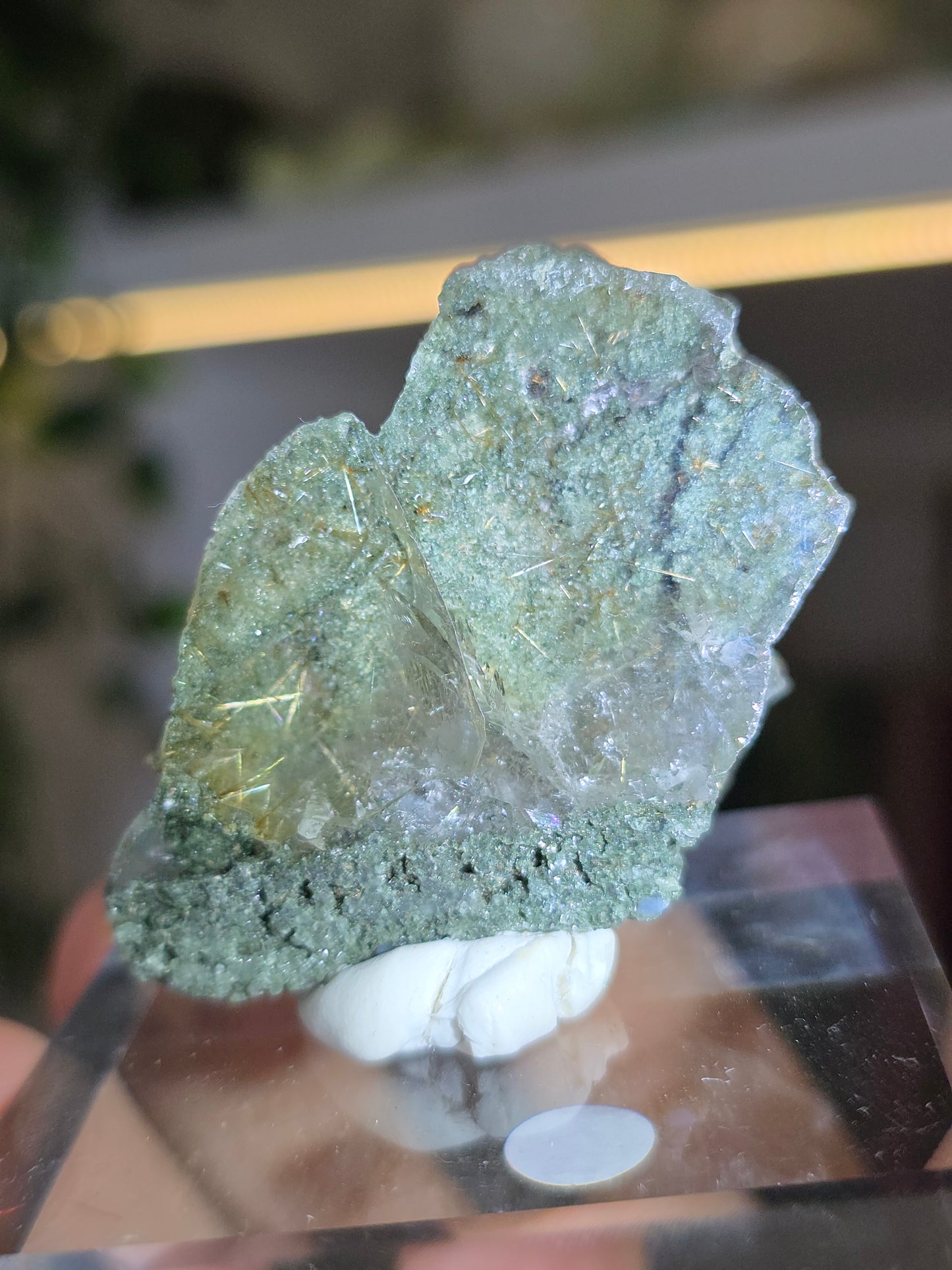 High Grade Chlorite Coated Himalayan Quartz with Golden Rutile Inclusion H