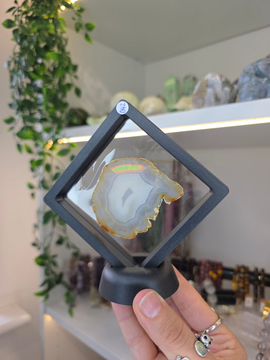 Iris Agate Raw Slice from Indonesia in Display Case - D
