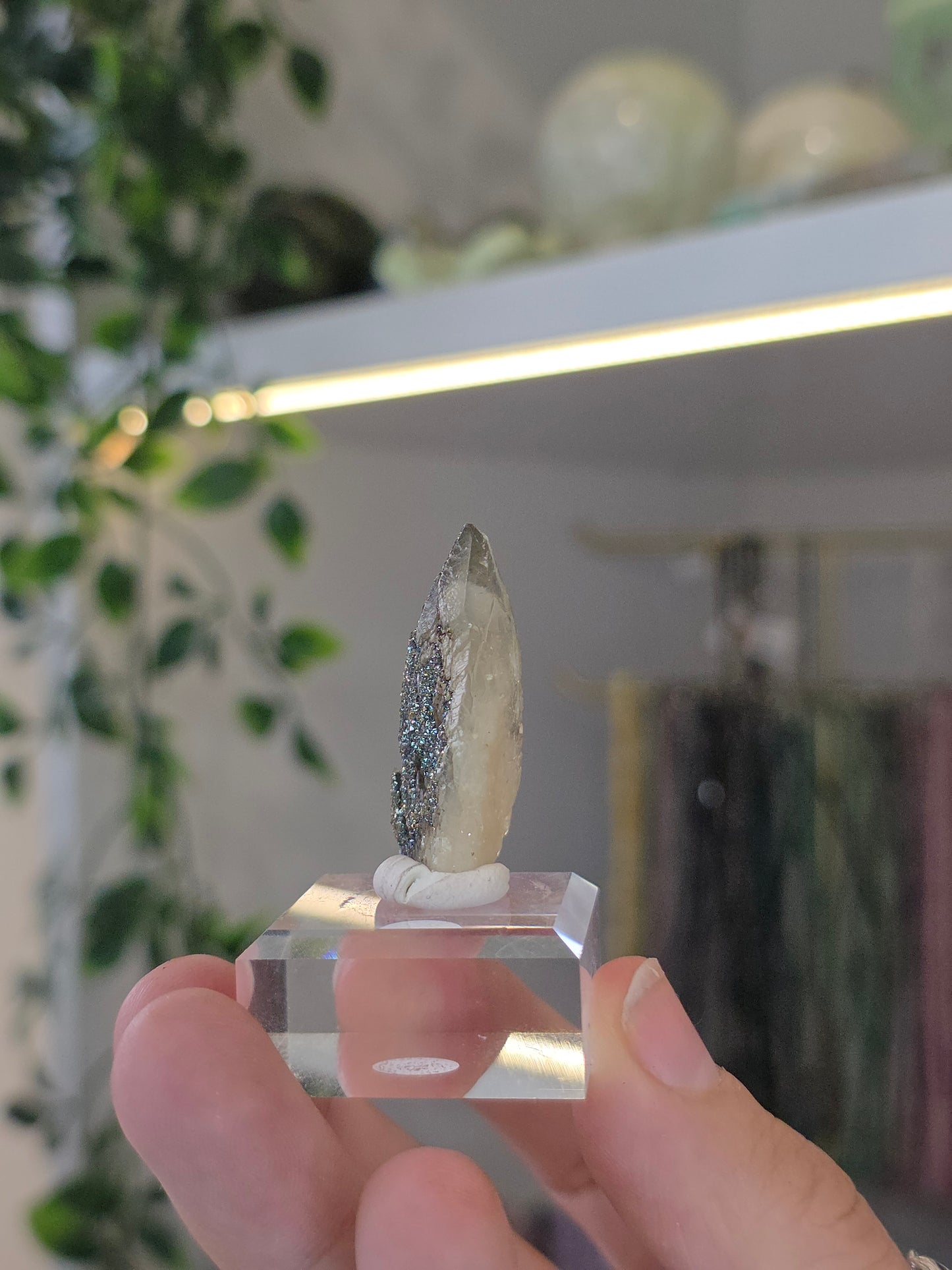 Rare Colourful Chalcopyrite on Feather Calcite from Daye, China - A