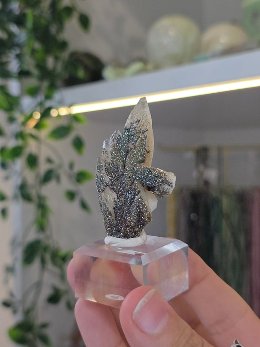 Rare Colourful Chalcopyrite on Feather Calcite from Daye, China - B