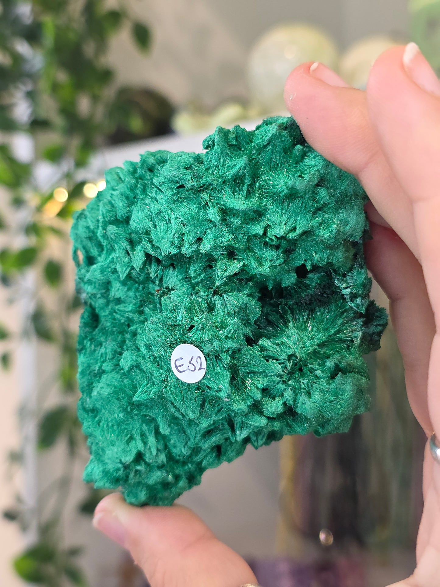Velvet Fibrous Malachite Specimen from Fujian, China - E