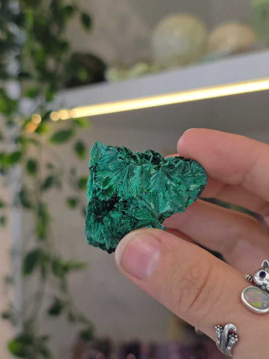 Velvet Fibrous Malachite Specimen from Fujian, China - A