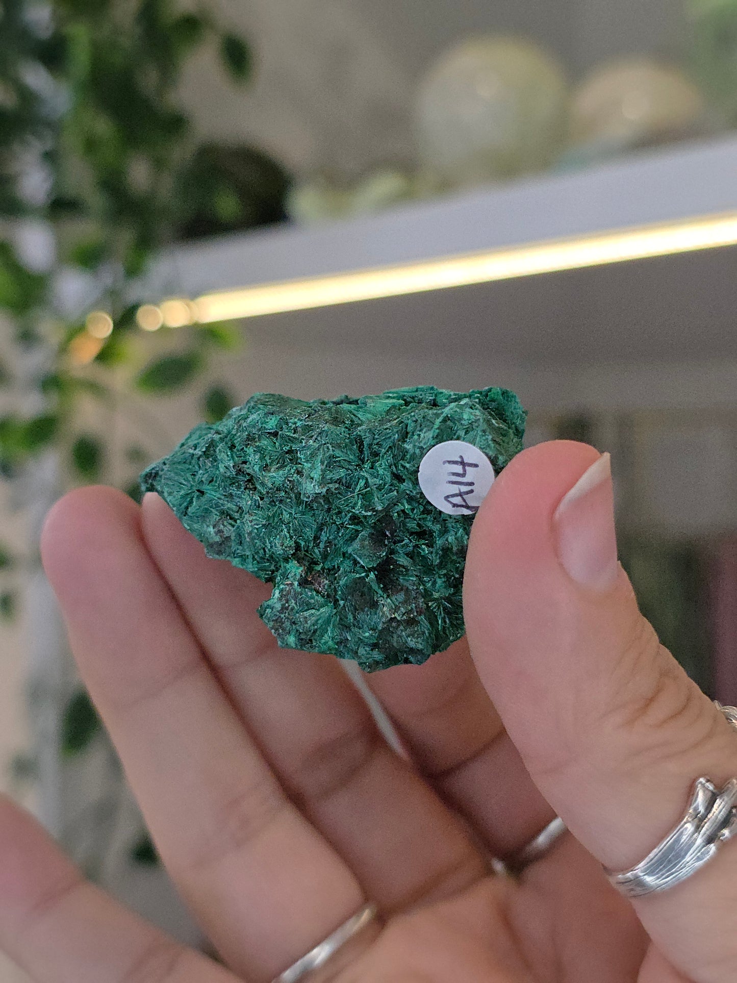 Velvet Fibrous Malachite Specimen from Fujian, China - A