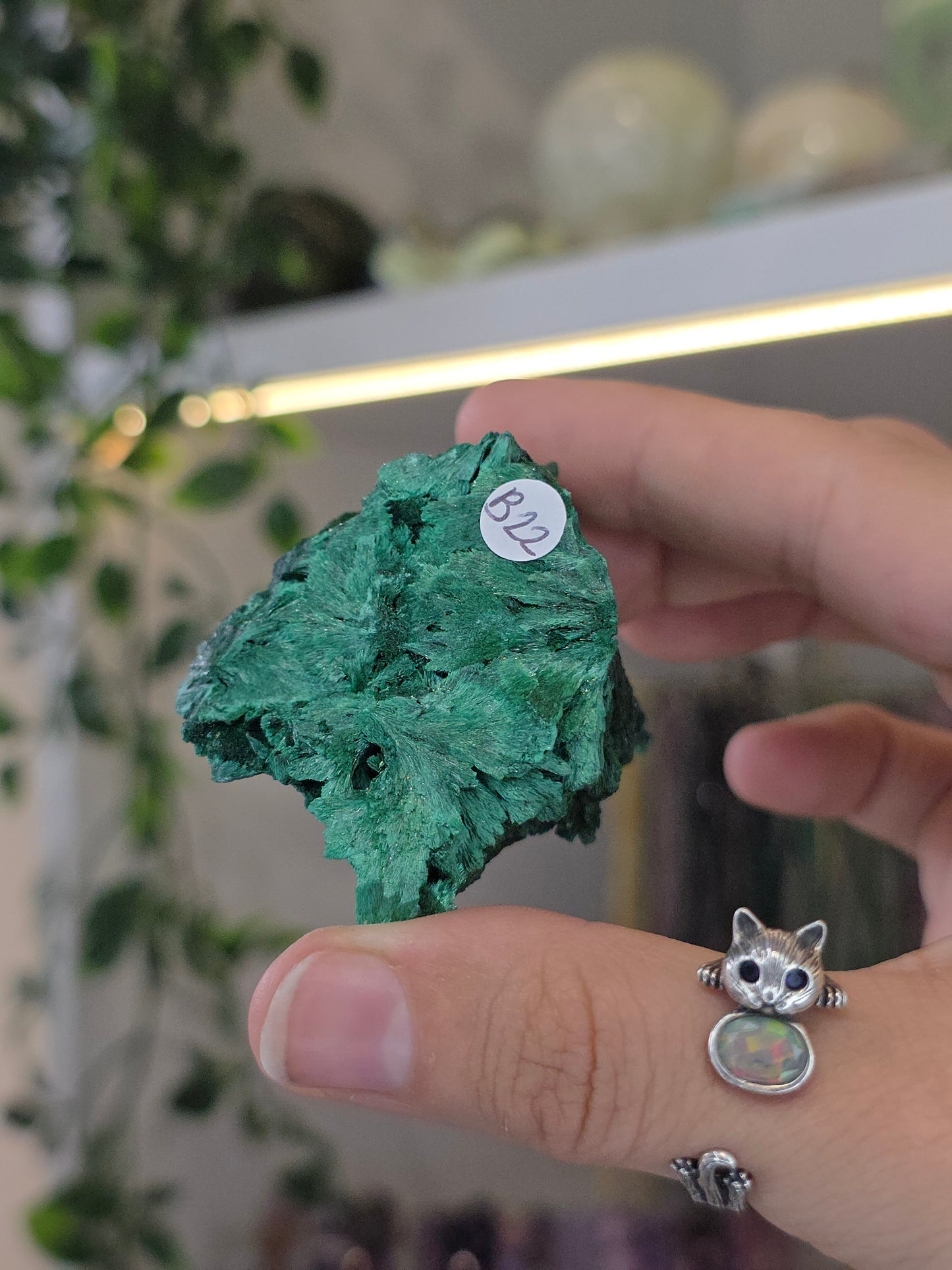 Velvet Fibrous Malachite Specimen from Fujian, China - B