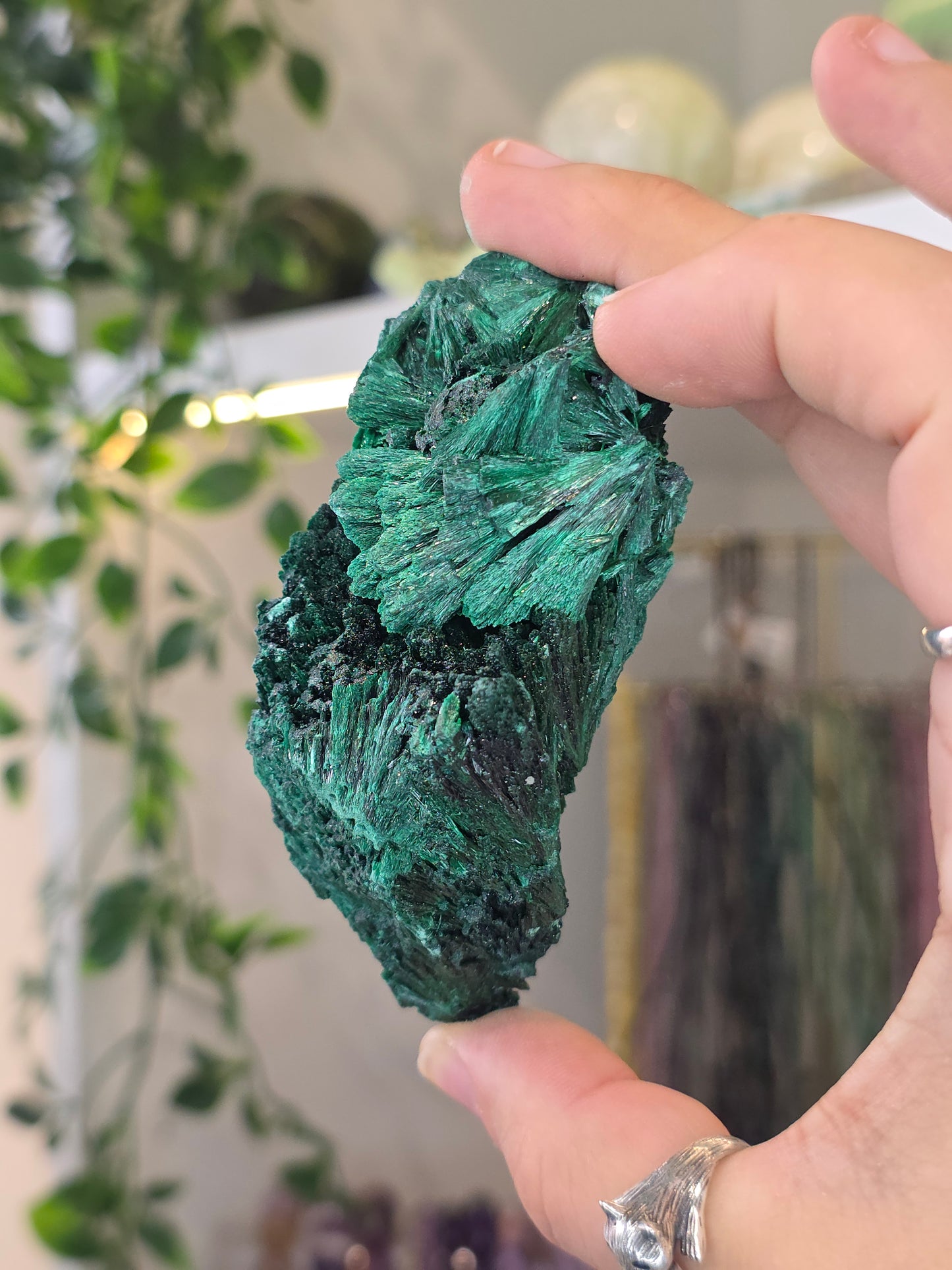 Velvet Fibrous Malachite Specimen from Fujian, China - D