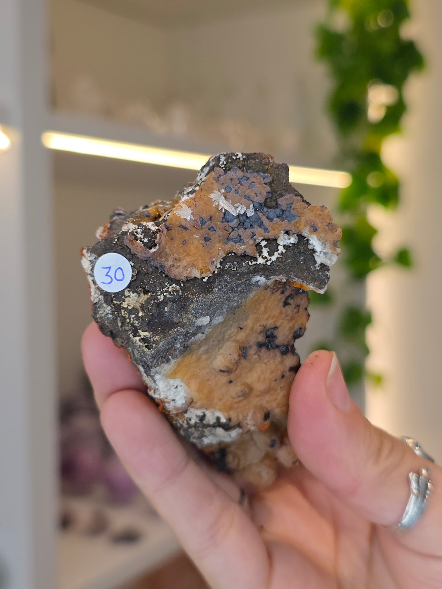 Hemimorphite, Smithsonite with Goethite Specimen Santa Eulalia, Chihuahua, Mexico - F