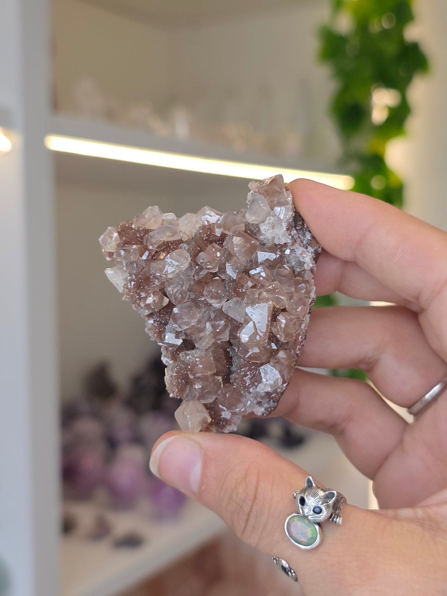 Various Diamond Calcites from Santa Eulalia, Chihuahua, Mexico