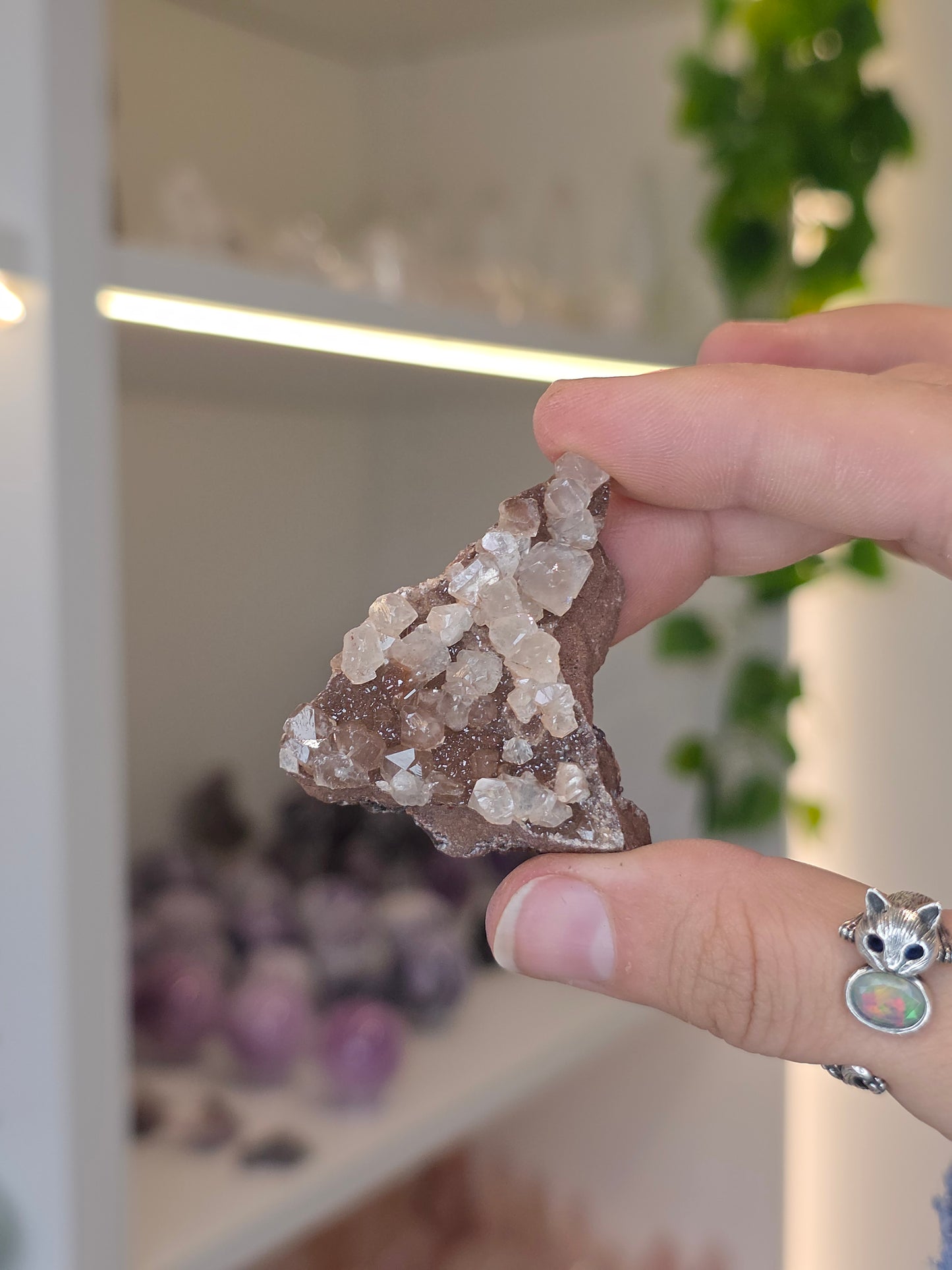 Various Diamond Calcites from Santa Eulalia, Chihuahua, Mexico