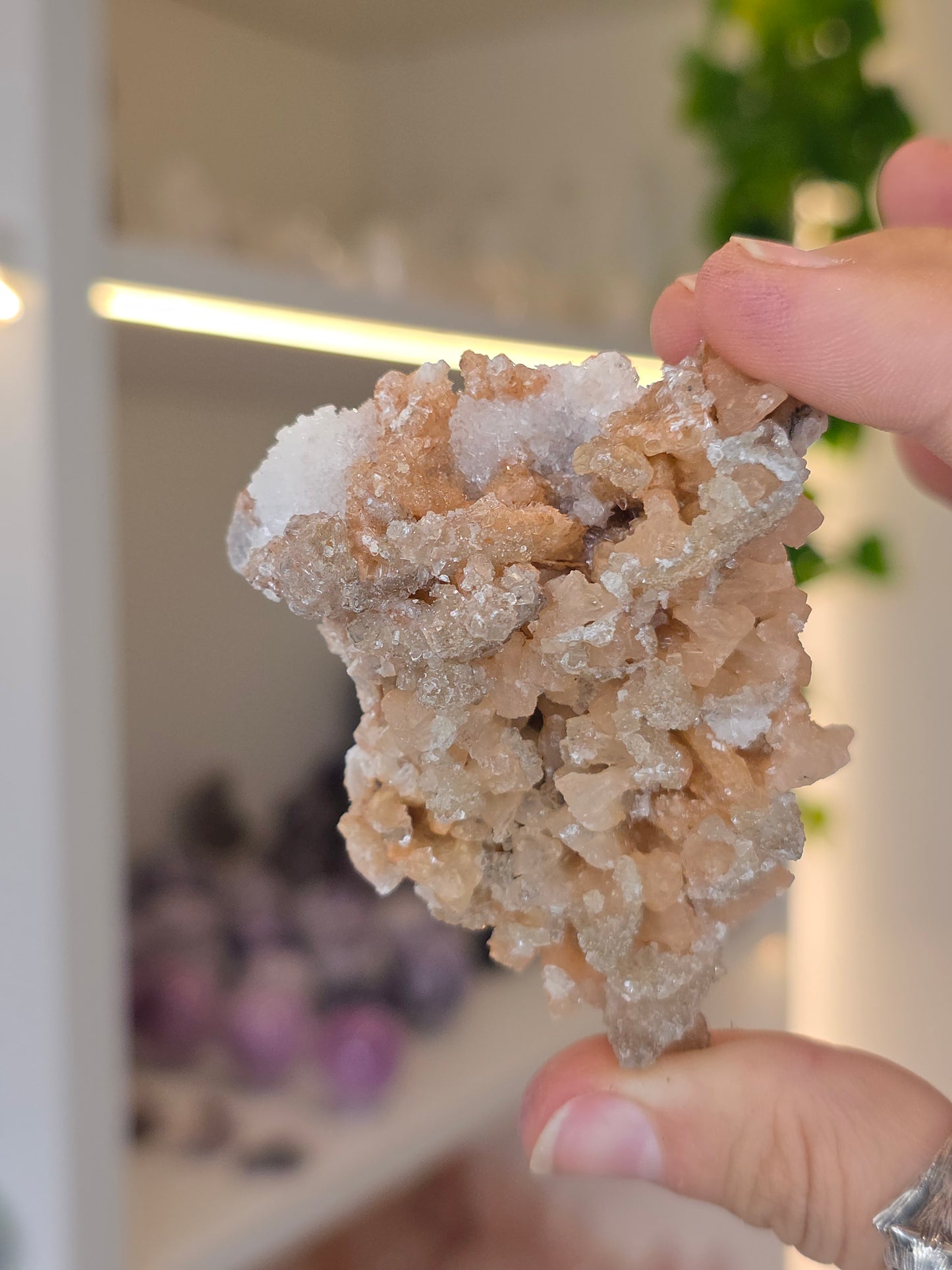 Selenite on Dogtooth Calcite from Santa Eulalia, Chihuahua, Mexico - D