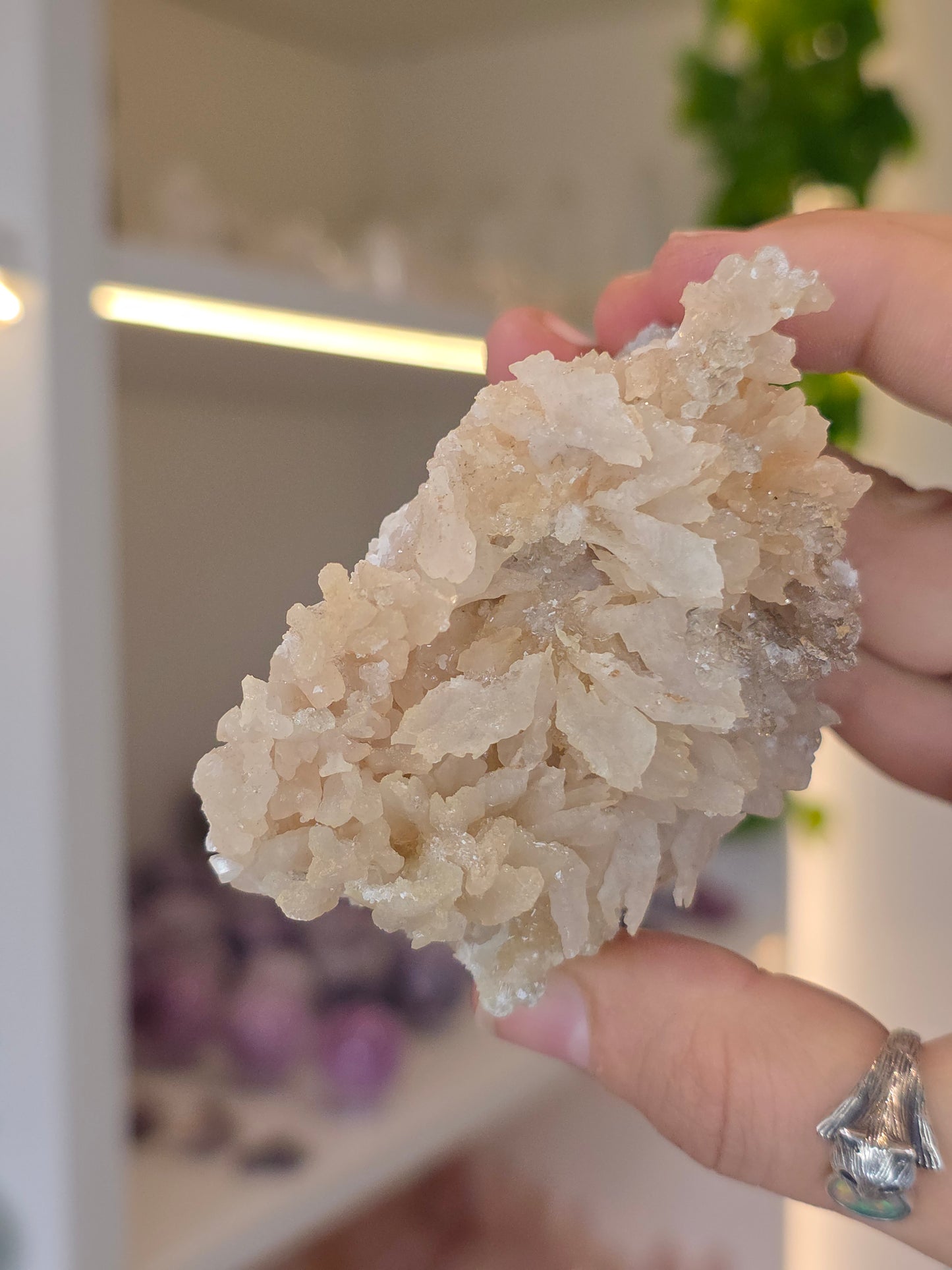 Selenite on Dogtooth Calcite from Santa Eulalia, Chihuahua, Mexico - H