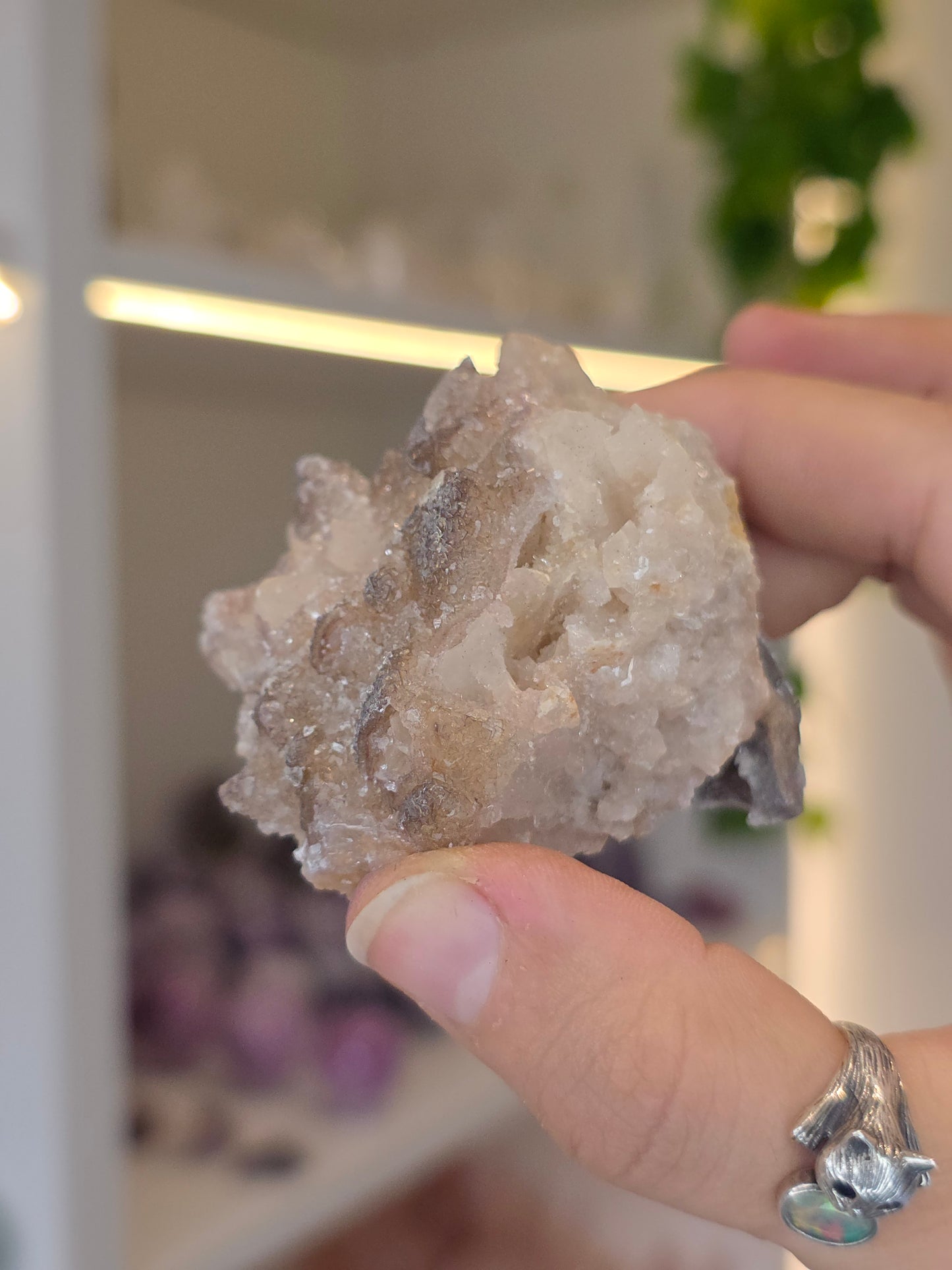 Selenite on Dogtooth Calcite from Santa Eulalia, Chihuahua, Mexico - J