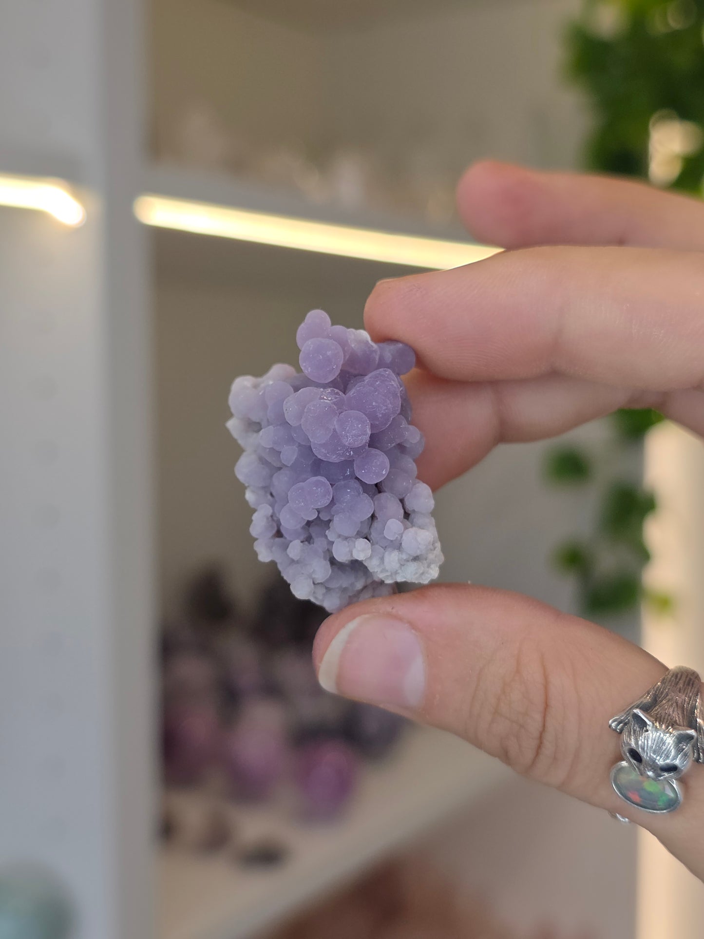 Indonesian Grape Agate Specimens