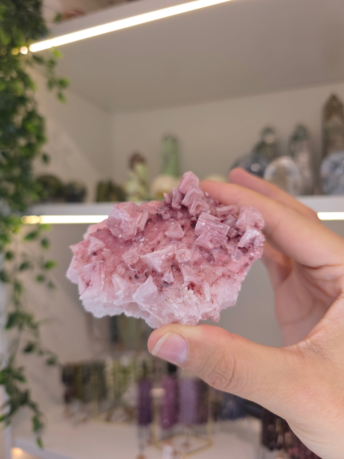 Raspberry Halite from Searles Lake, California - E