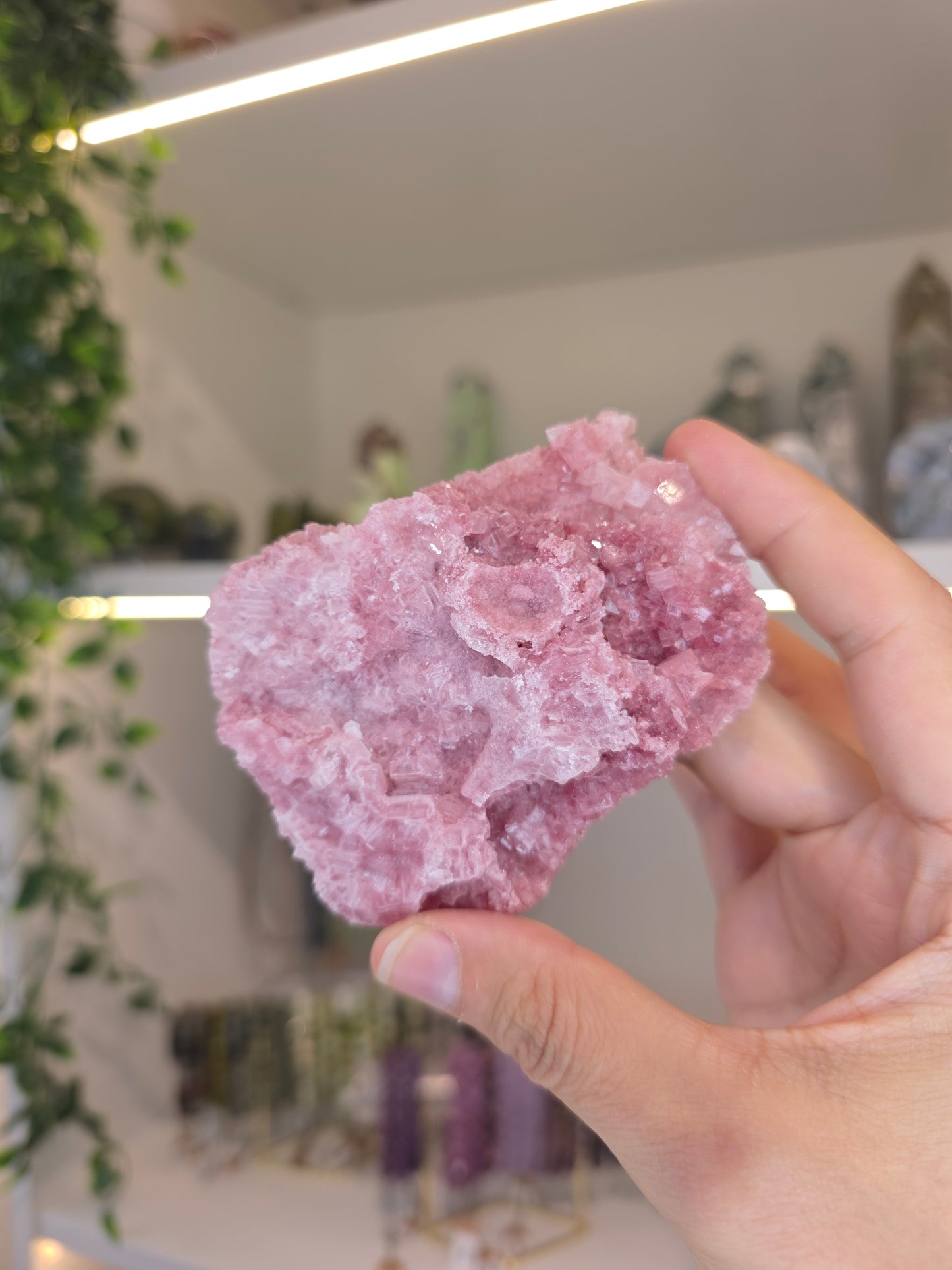 Raspberry Halite from Searles Lake, California - F