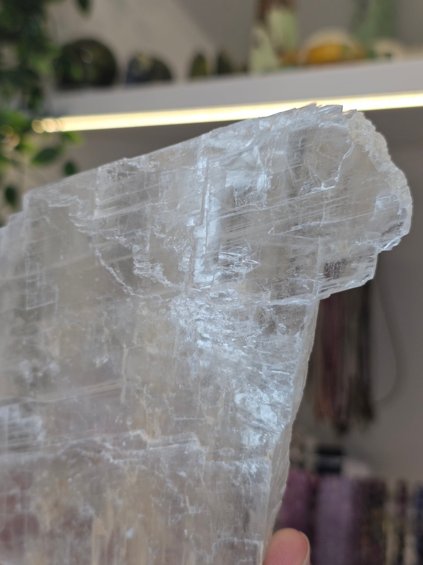 Raw Selenite Slice from Mexico - E