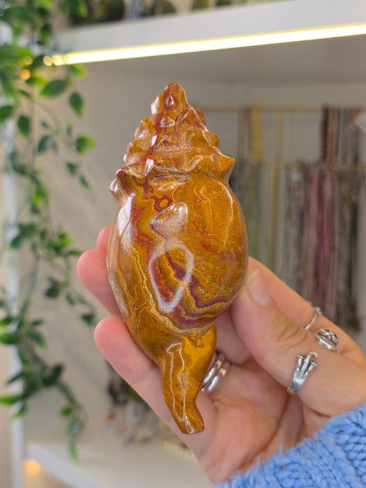 Mexican Onyx Calcite Carved Conch Shells