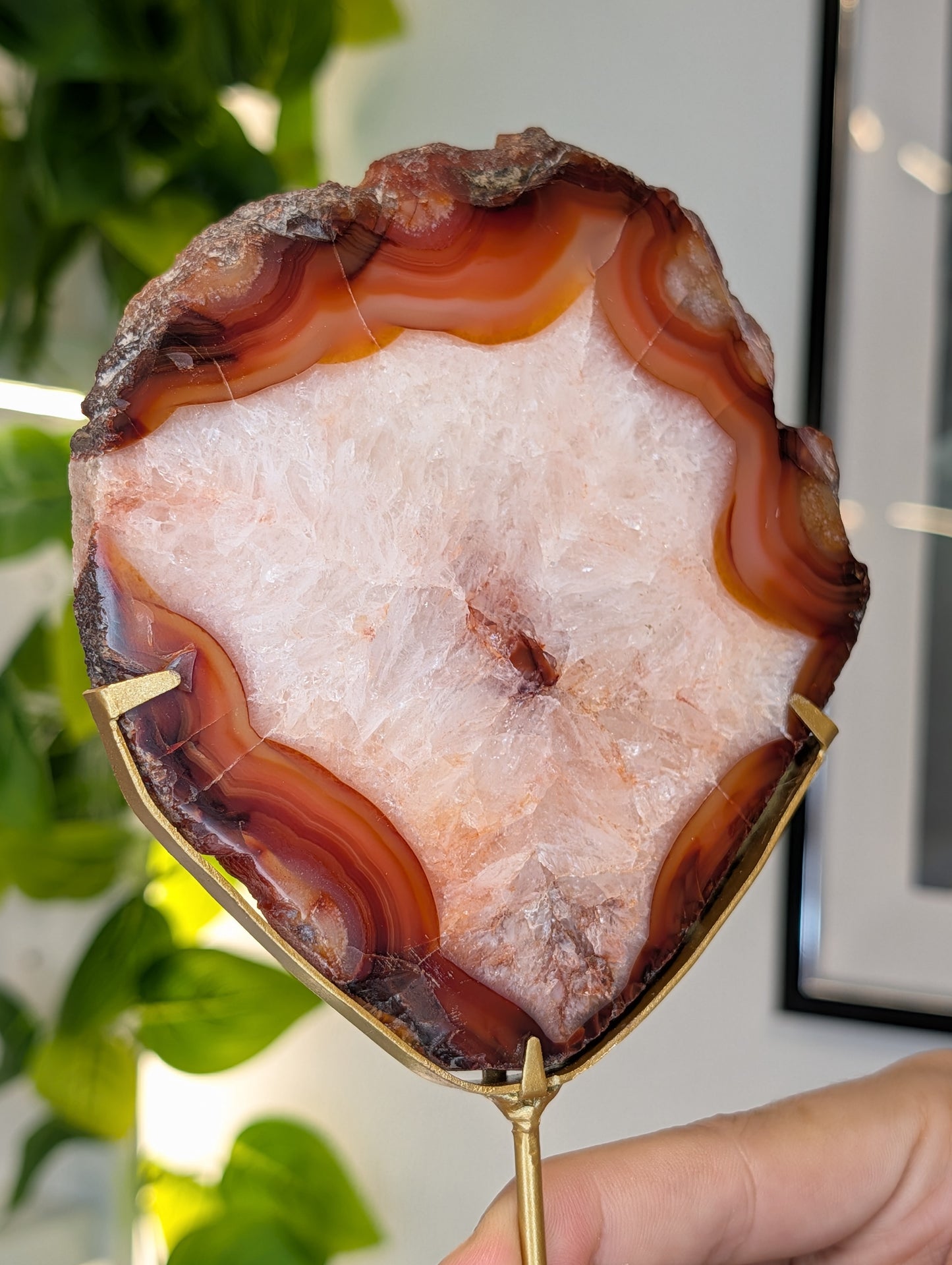 Indonesian Carnelian Polished Slab with Raw Edge on Custom Stand