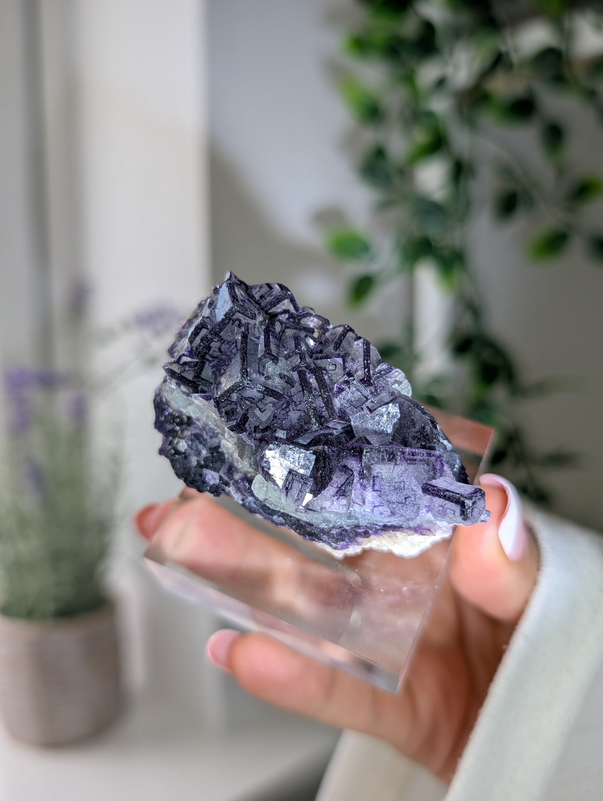 Black Worrier / Purple Edge Fluorite Specimen from Inner Mongolia