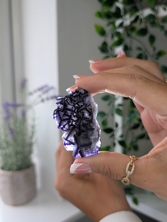 Black Worrier / Purple Edge Fluorite Specimen from Inner Mongolia