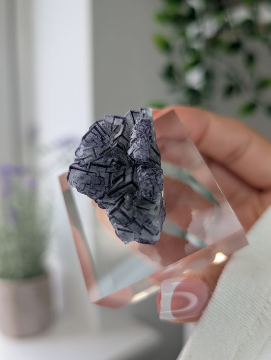 Black Worrier / Purple Edge Fluorite Specimen from Inner Mongolia