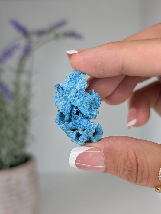 Raw Shattuckite Specimens from Nambia
