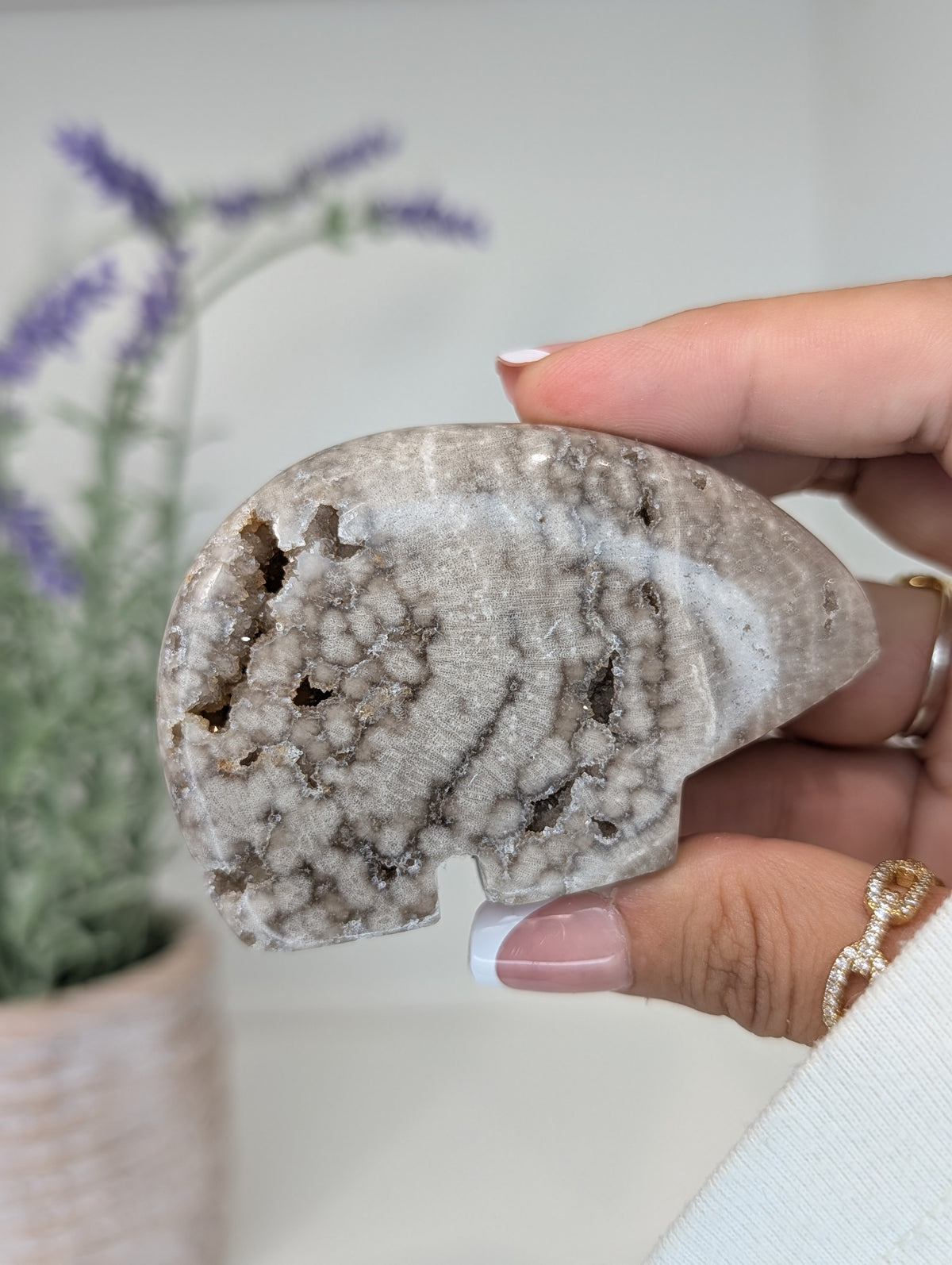 Chocolate Ocean Jasper Zuni Bear from Indonesia