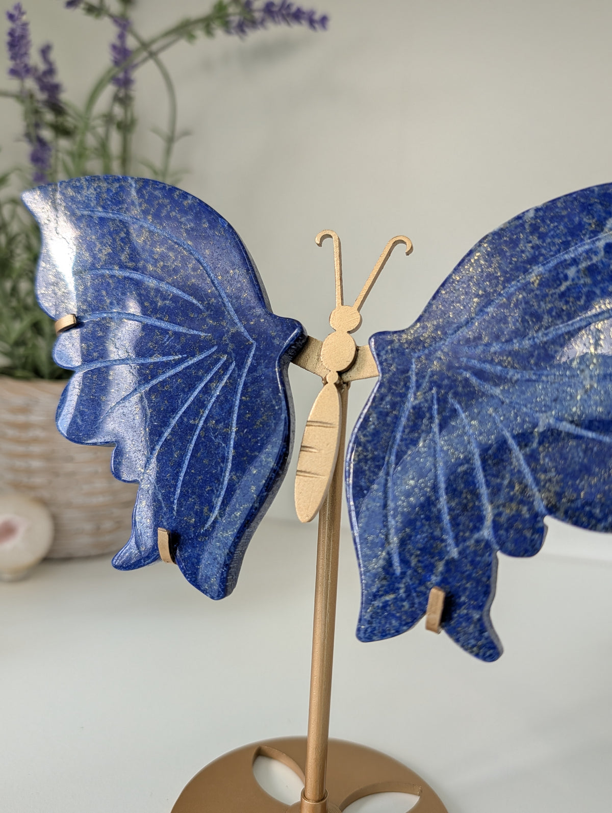 Lapis Lazuli Butterfly Wings on Custom Gold Stand