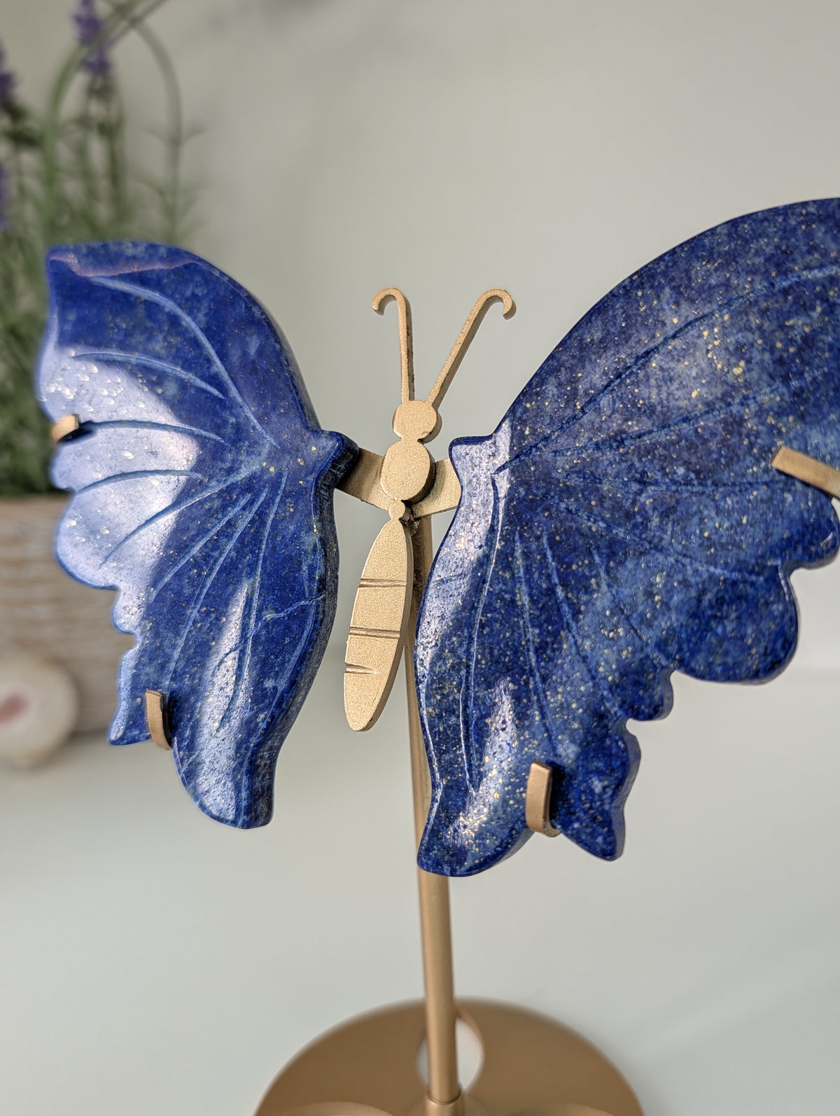 Lapis Lazuli Butterfly Wings on Custom Gold Stand