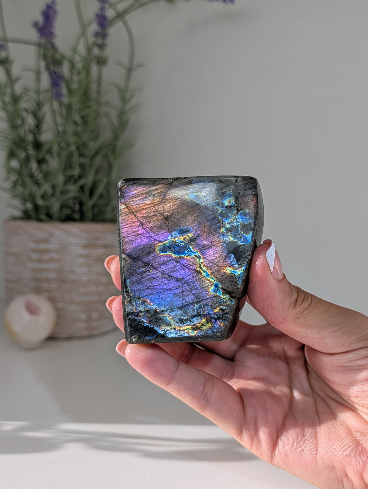 Madagascan Labradorite Freeform