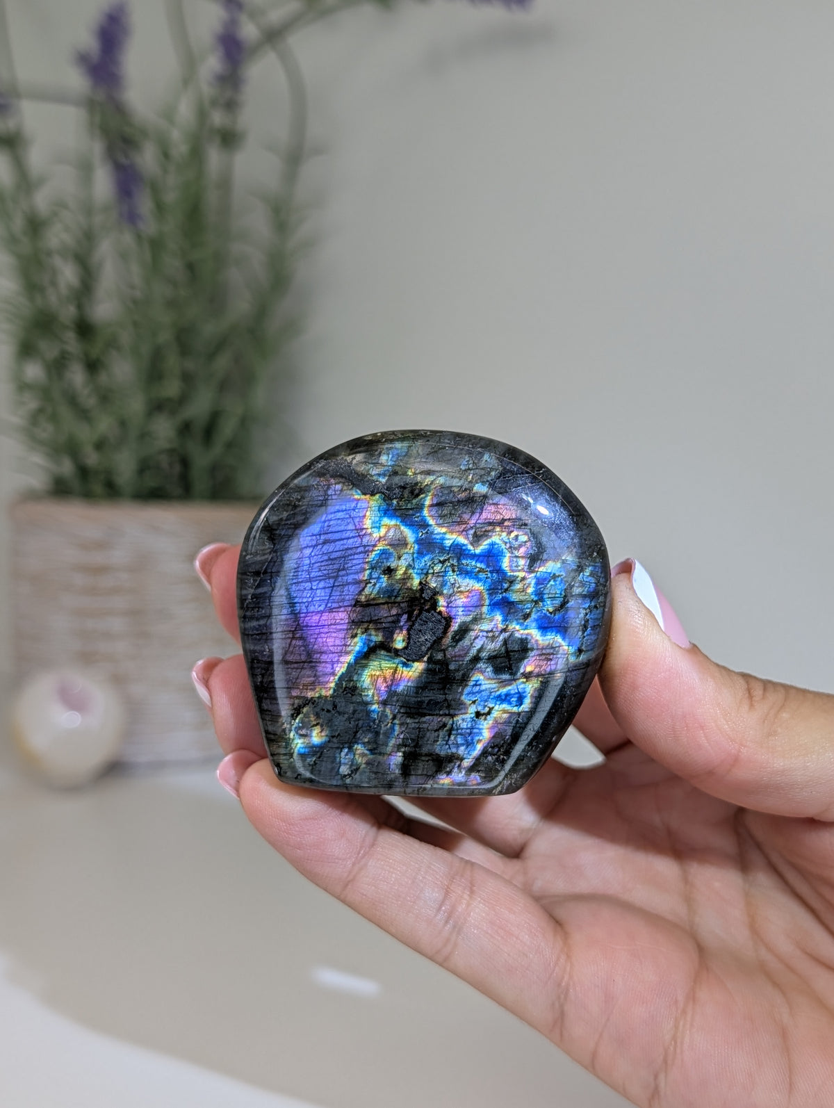 Madagascan Labradorite Freeform